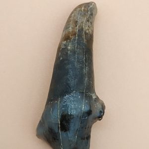 Xenohyus Mn5 St laurent du lin 37 4x1.5 120 4.jpg