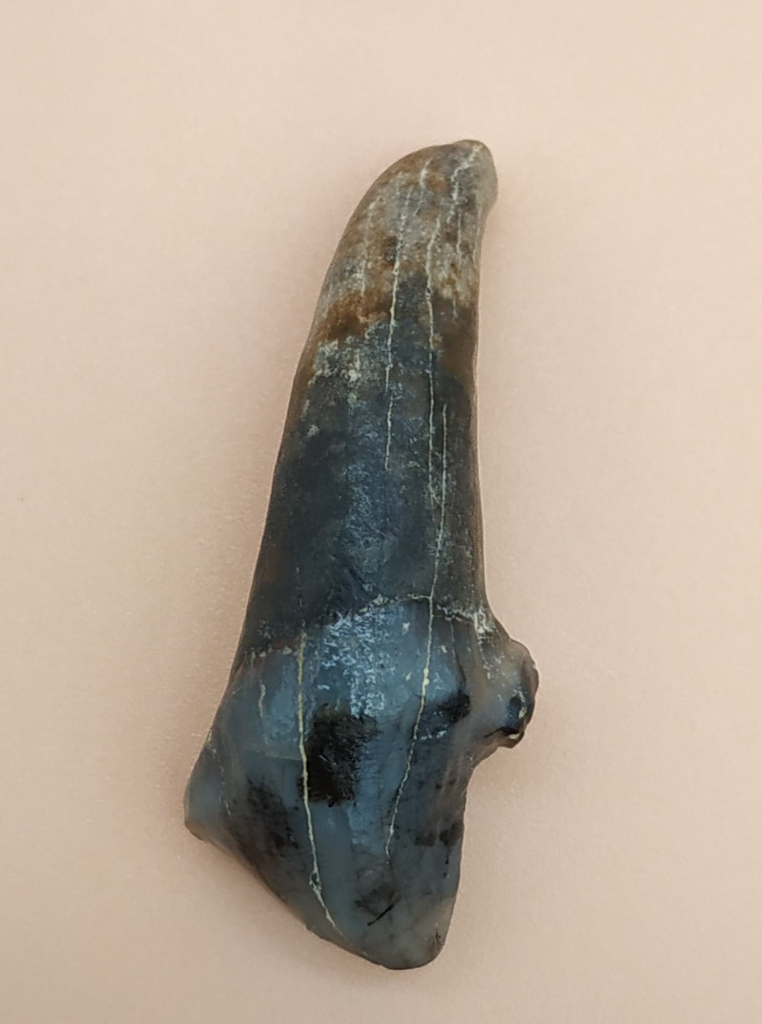 Xenohyus Mn5 St laurent du lin 37 4x1.5 120 4.jpg