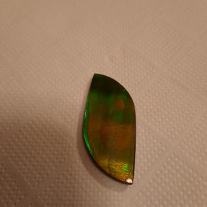 Grosse ammolite 3 4.5x2   250€.jpg