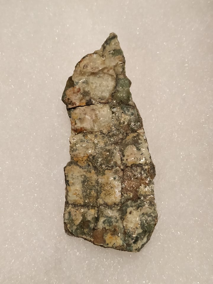 Empreinte de peau de Camasaurus Morrison Formation (Utah, USA) 1,9x4,9 cm 300€.jpg