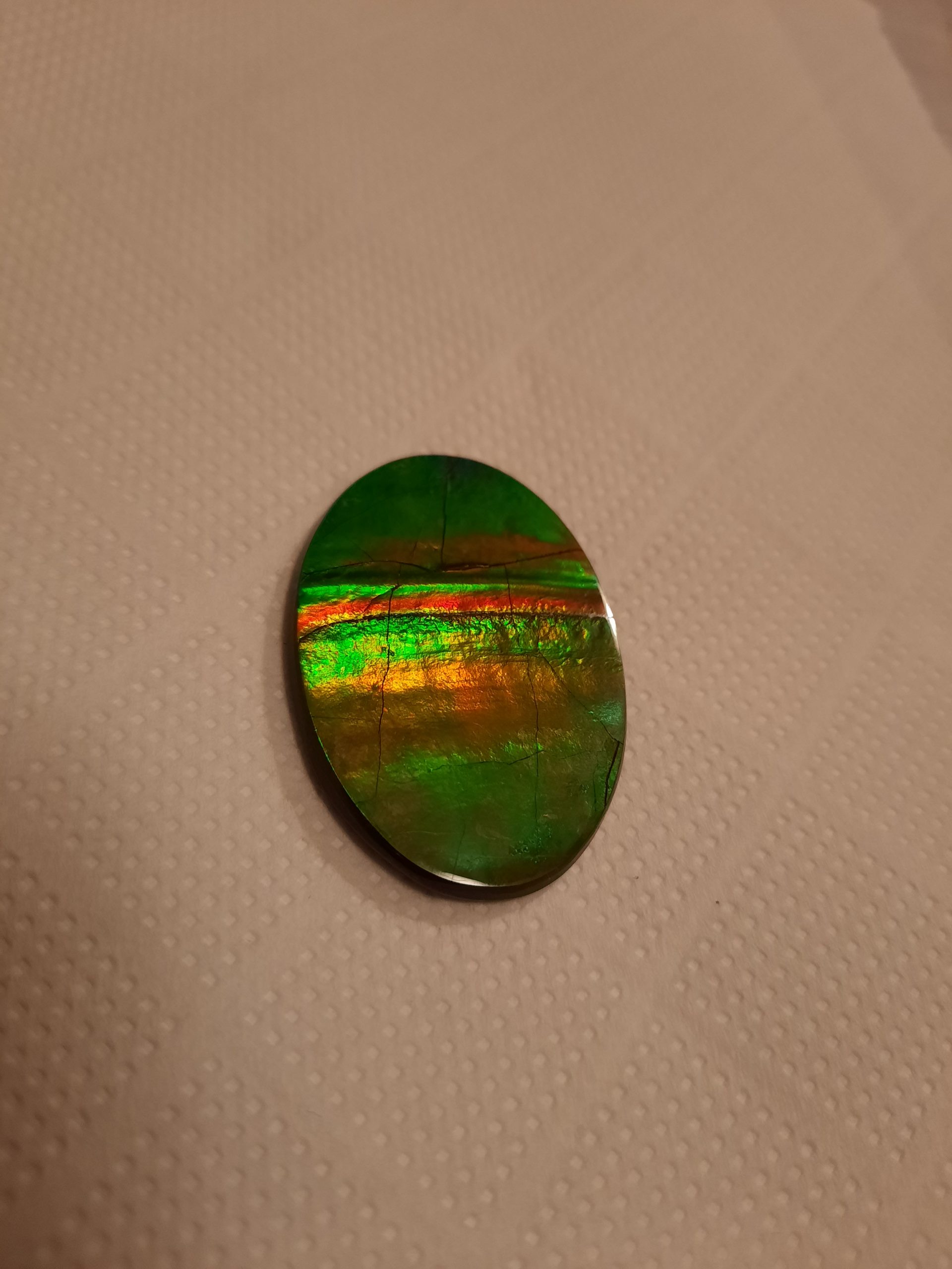 Grosse ammolite 4   4.2x3  300€.jpg