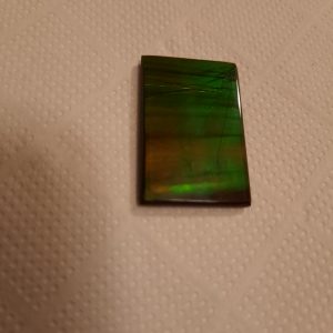 Grosse ammolite 1 3.2x2   150€.jpg