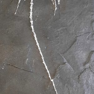 moulage brillant 2.jpg