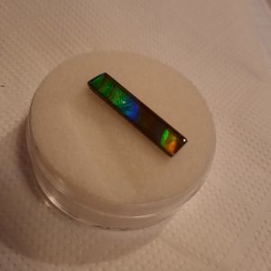 AMMOLITE baton 100.jpg