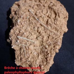 brêche à chauve souris.jpg