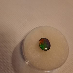 ammolite cabochon 80€.jpg