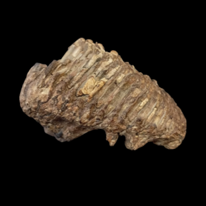 Capture d’écran 2024-07-26 111656.png