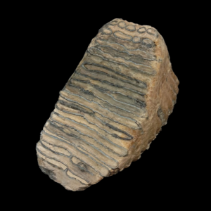 Capture d’écran 2024-07-26 110512.png