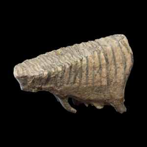 Capture d’écran 2024-07-29 152704.png