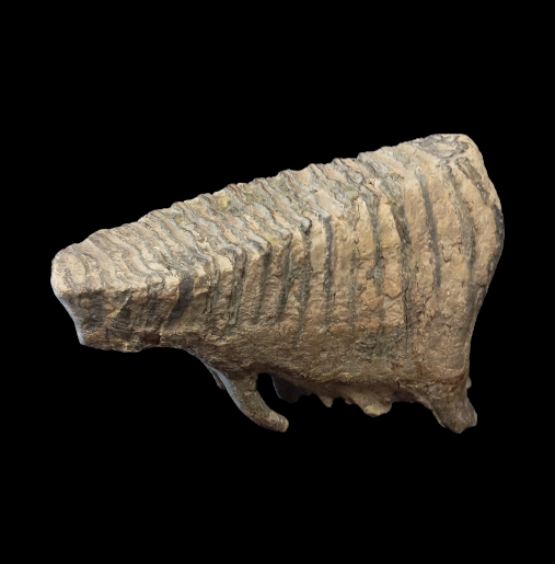 Capture d’écran 2024-07-29 152704.png