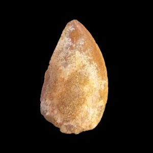 WhatsApp Image 2024-07-23 at 15.52_edited.jpg