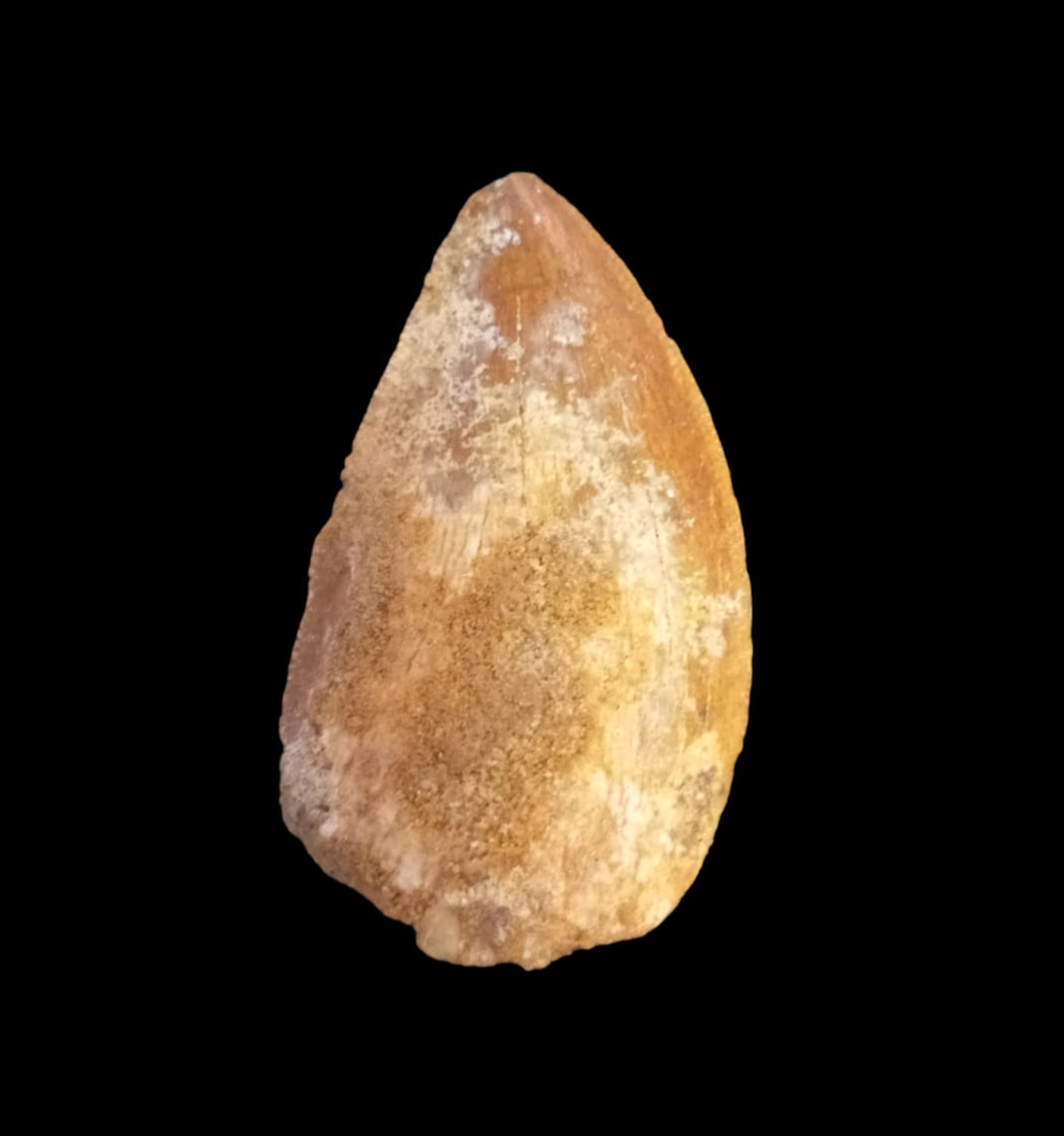 WhatsApp Image 2024-07-23 at 15.52_edited.jpg