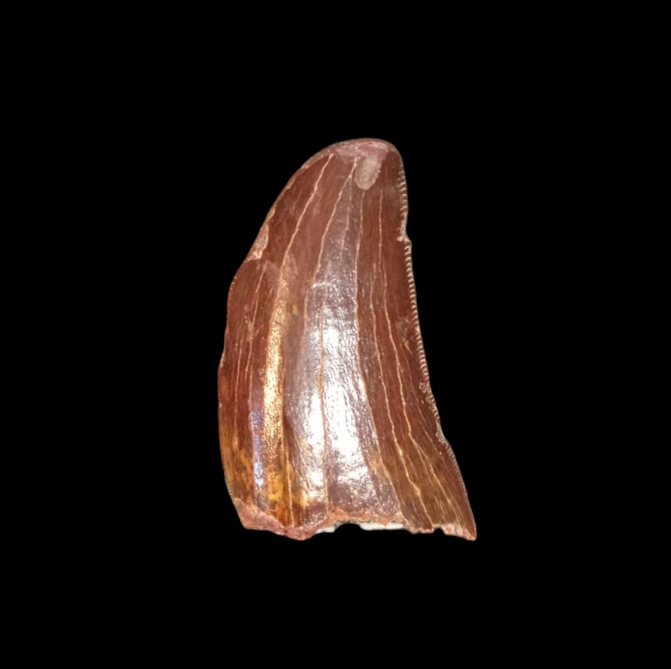 WhatsApp Image 2024-07-23 at 11.18_edited.jpg