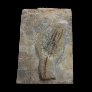 Capture d’écran 2024-08-13 104420_edited.jpg