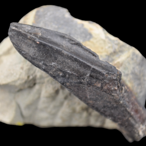 Capture d’écran 2024-12-06 114610.png