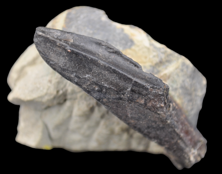 Capture d’écran 2024-12-06 114610.png