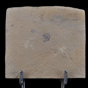 Capture d’écran 2024-12-06 103215.png