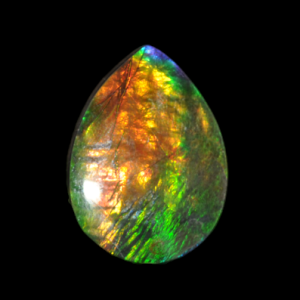 Capture d’écran 2024-12-06 104703.png