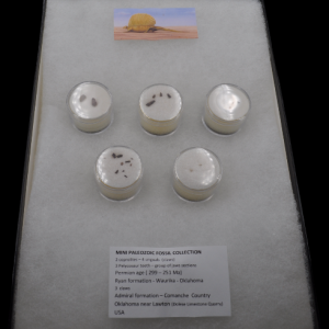 Capture d’écran 2024-12-06 101958.png