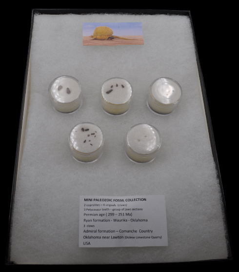 Capture d’écran 2024-12-06 101958.png