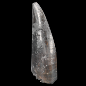 Capture d’écran 2025-03-27 134847.png