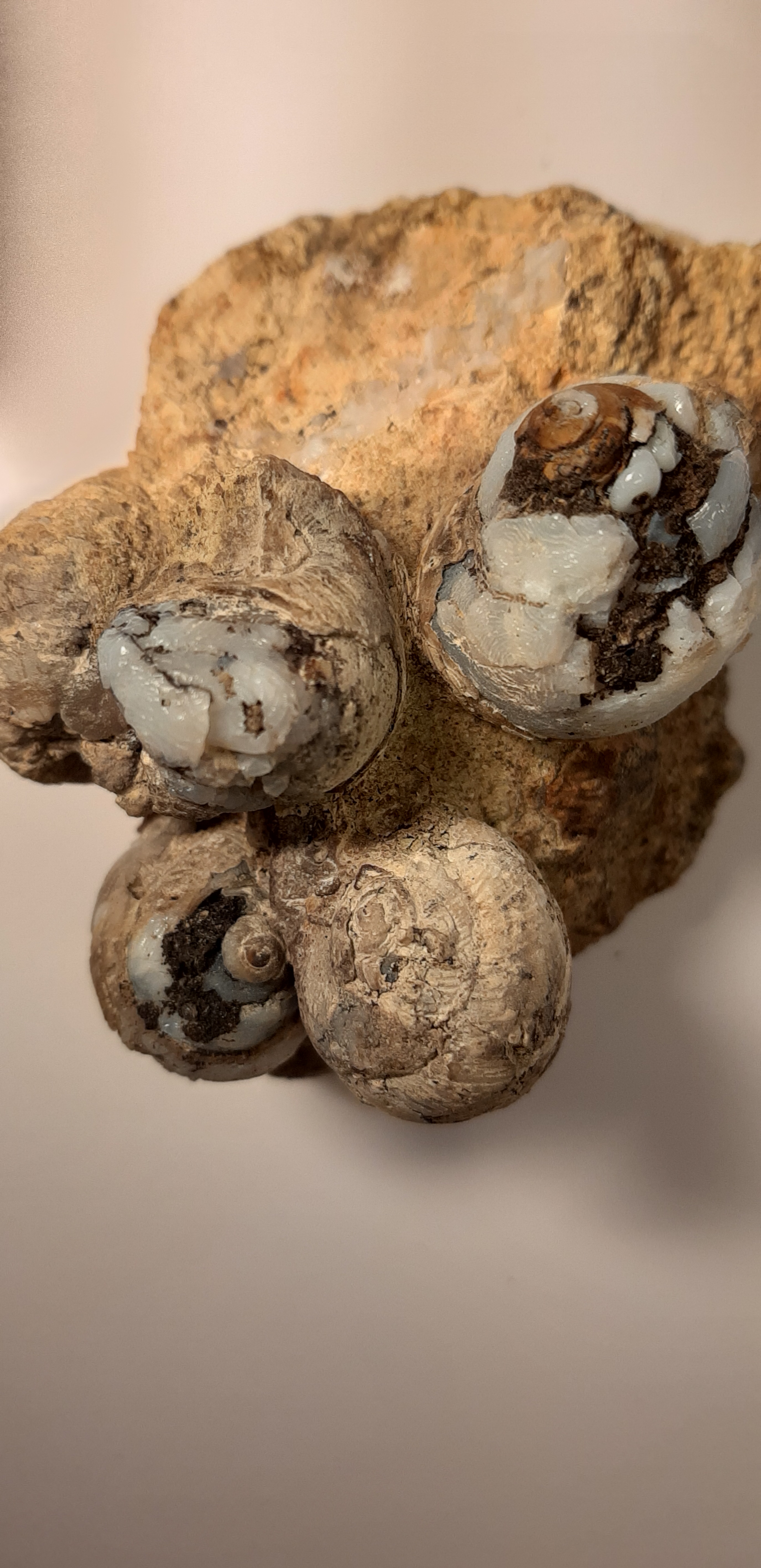 helix 5 pierres 2.jpg