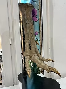 4be3dc_10dbaa1bc6bd401d9375c387a33c8200_mv2