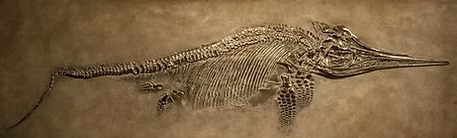 4be3dc_78af0643b49f4c42bd822c46a4a66034_mv2