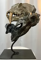 4be3dc_c8925245c4f248fbb85ea8c48f0b5eb7mv2